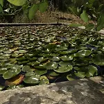 Egesta, With Private Pool *