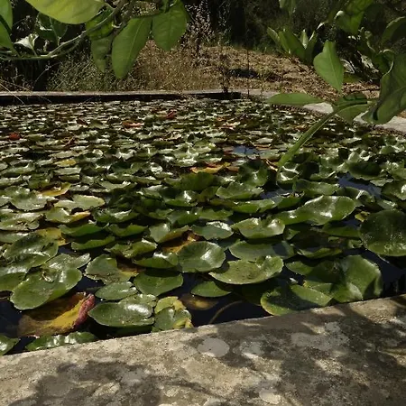 Egesta, With Private Pool *