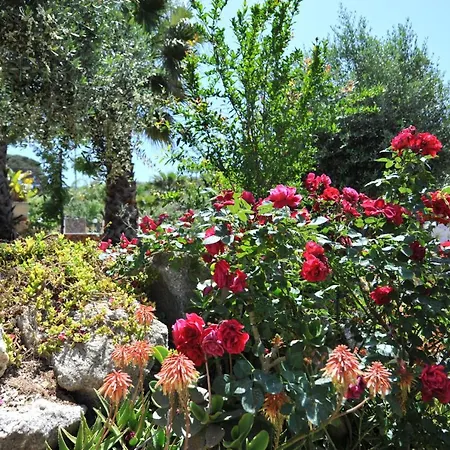 Villa Egesta, With Private Pool Calatafimi